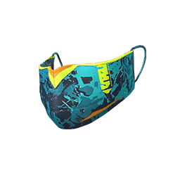 C6S17 Mask