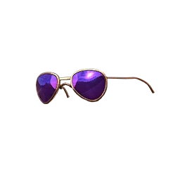 C2S5 Glasses