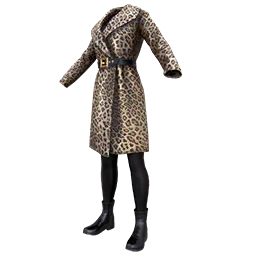 Leopard Print Outfit