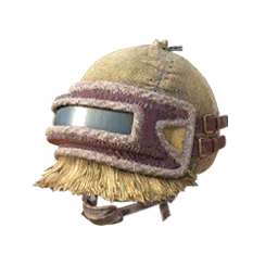 Clan Defender Helmet