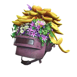 Decorated Helmet