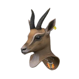 Antelope Scout Cover