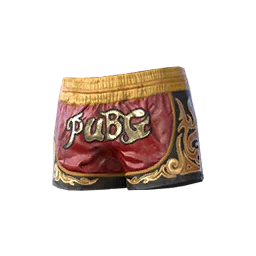 Muay Thai Shorts