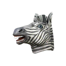 Orange Zebra Cover