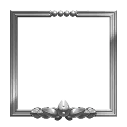 Frame(Mirror Lotus)
