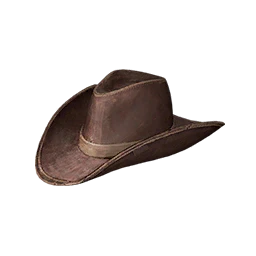 Wild West Hat (Brown)