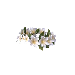 Tropical Island Wreath