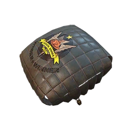 Medallion Parachute