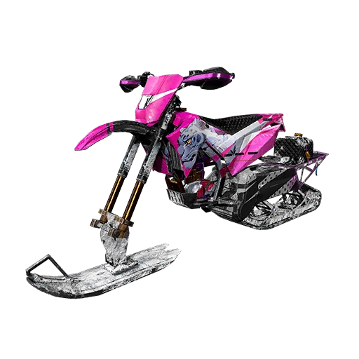Polar Roamer Snowbike