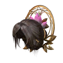 Lovely Lotus Cover