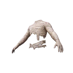 Mummy Top