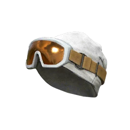 Arctic Spy Cover