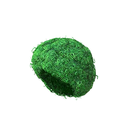 Party Wig (Green)