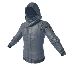 Down Jacket (Gray)