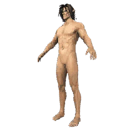 Attack Titan Set