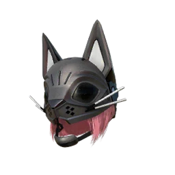 Bandit Kitty Cover