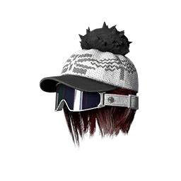 Polar Traveler Cover