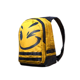 Clever Pal Backpack