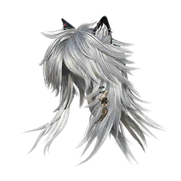 Equinox Vulpes Cover