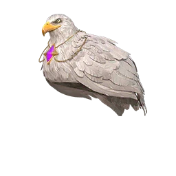 Ruthless Falconer Cover
