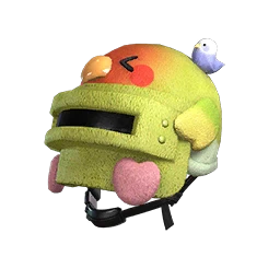 Baby Parrot Helmet
