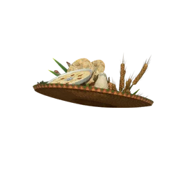Mobile Plate Cover