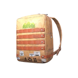 Bag Lunch Backpack