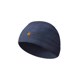 Polar Dancer Beanie