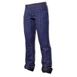 Youthful School Pants