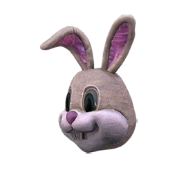 Bunny Academy Mascot Cover