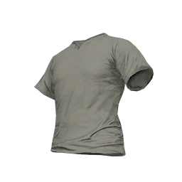 T-Shirt (Gray)