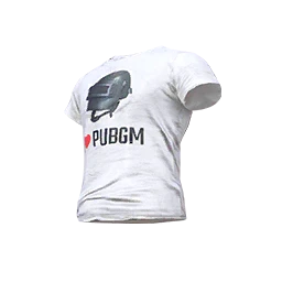 PUBG Fan Top