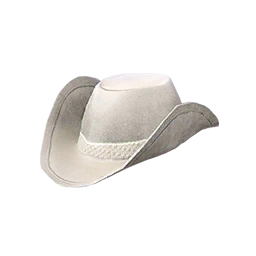 Western Outlaw Cap