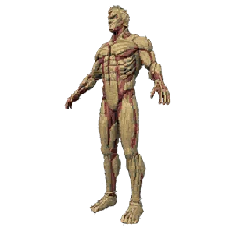 Armored Titan Costume