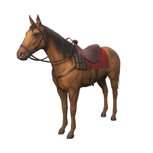Scout Regiment Horse