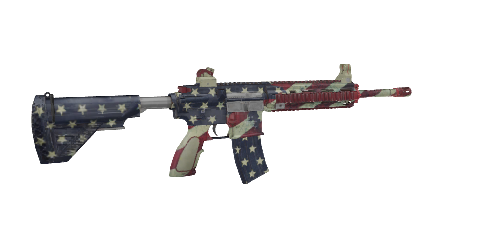 Guardian of Liberty-M416